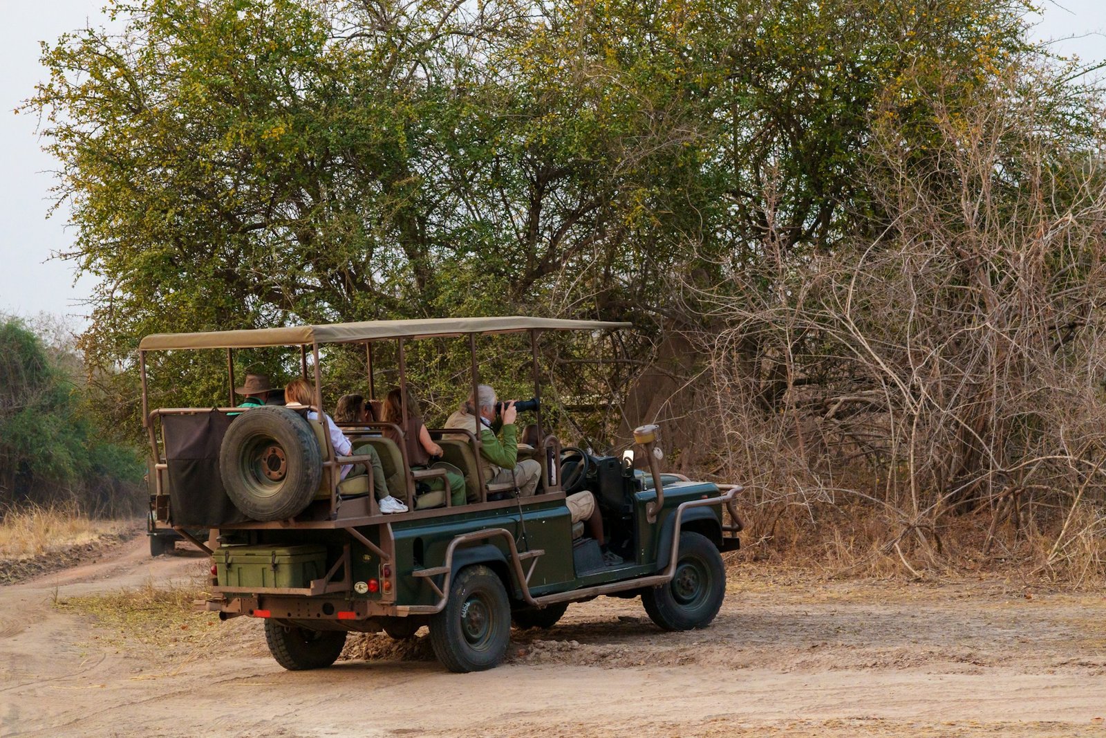An image of a group safari