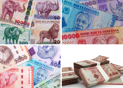 The Tanzanian Shilling (TZS)