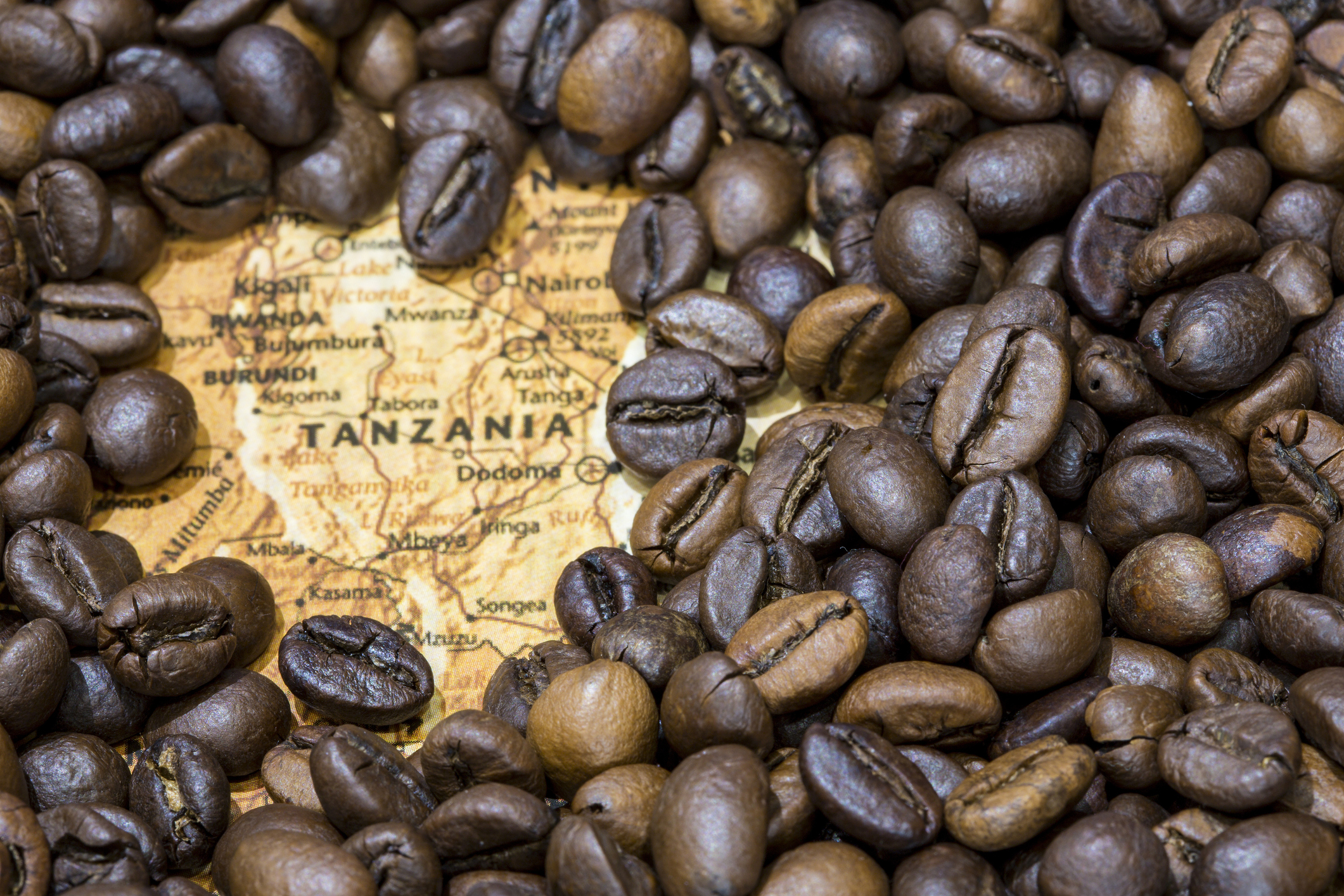 Cover Image for Beyond the Safari: A Taste of Tanzania’s Agricultural Heart