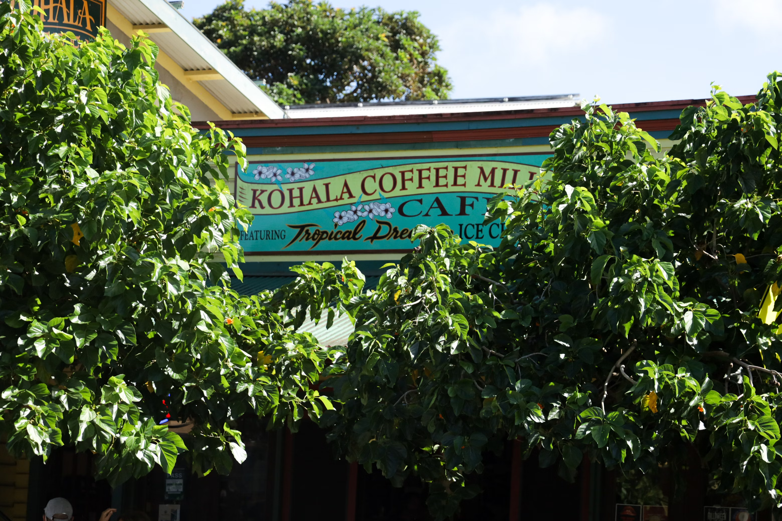 Coffee Tanzania