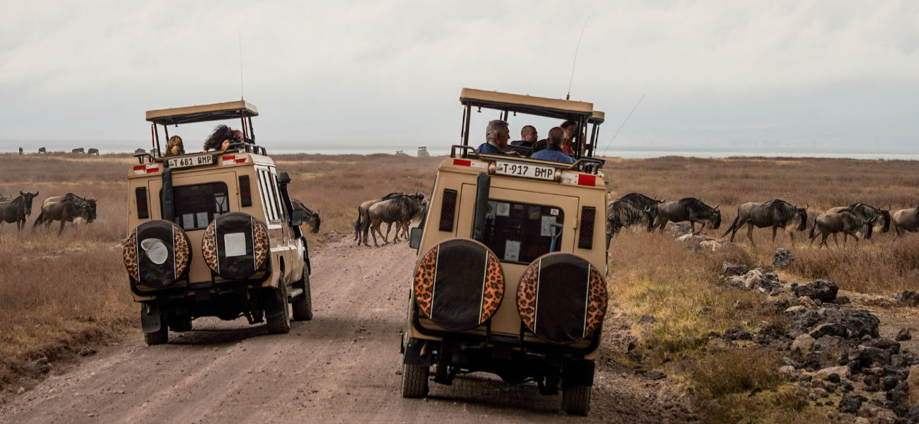 A group of travel buddies on a safari in Tanzania.
