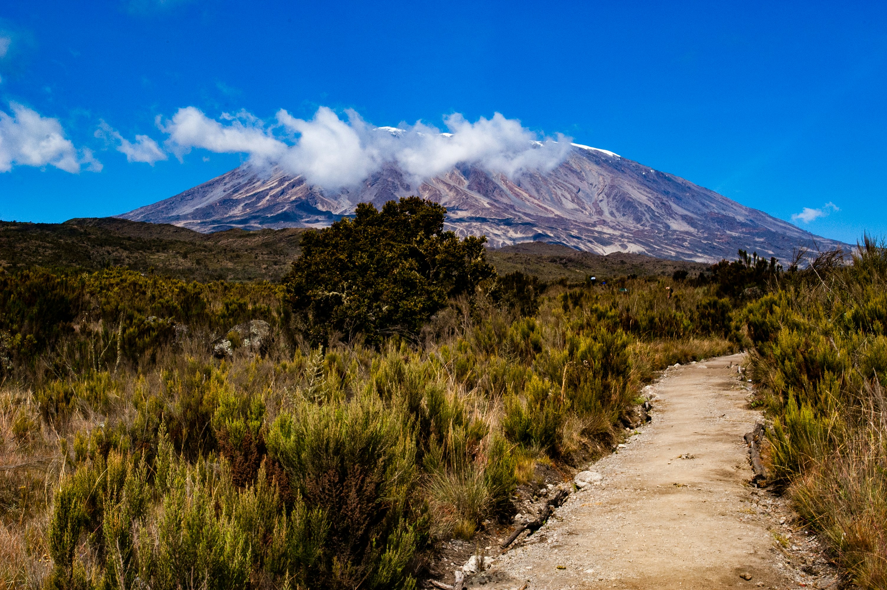 View from Kilimanjaro, Photo de Crispin Jones sur Unsplash