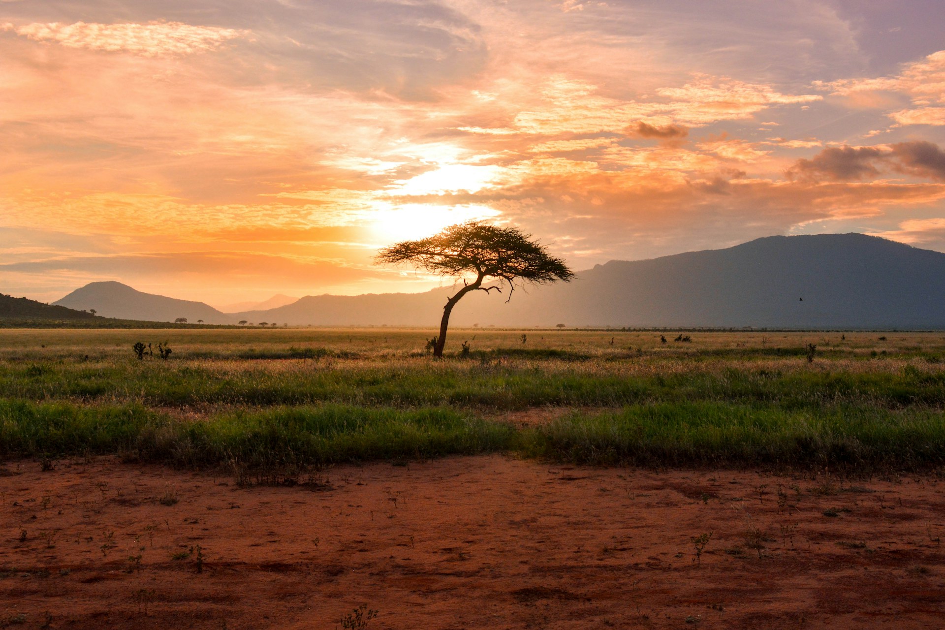 A image of sunset in a safari