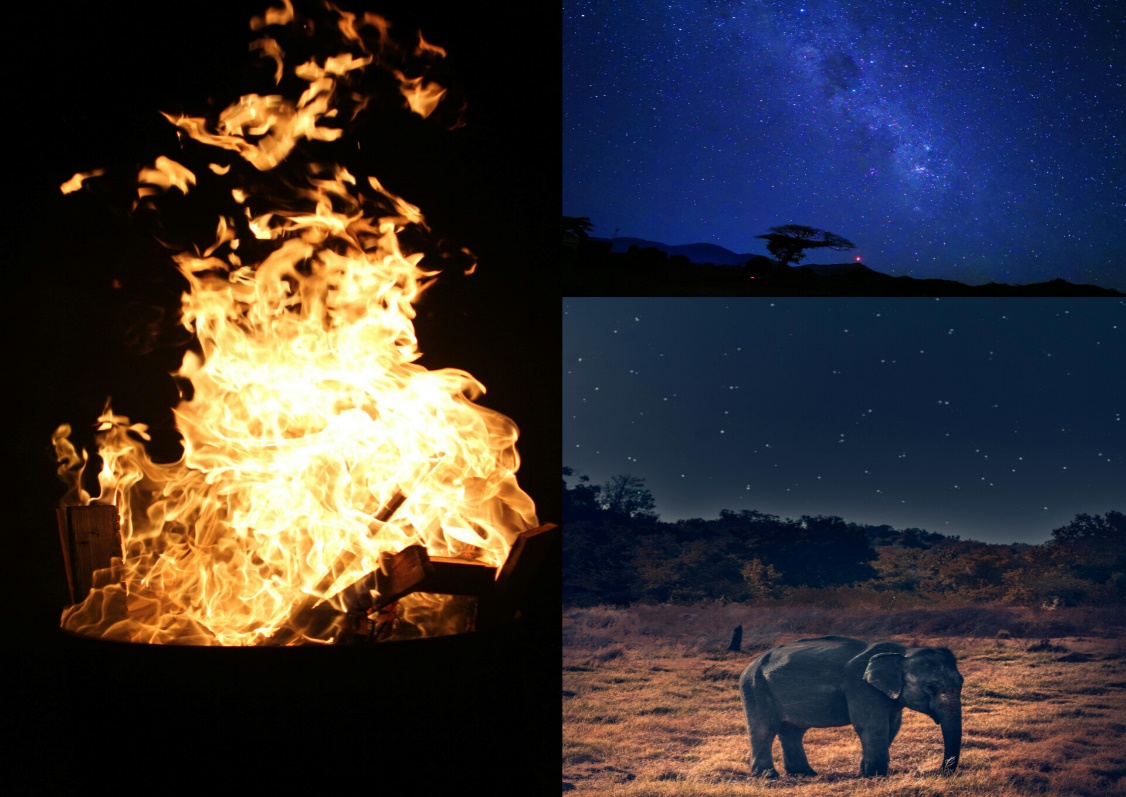 A collage of what to expect on a cozy night safari in Serengeti.