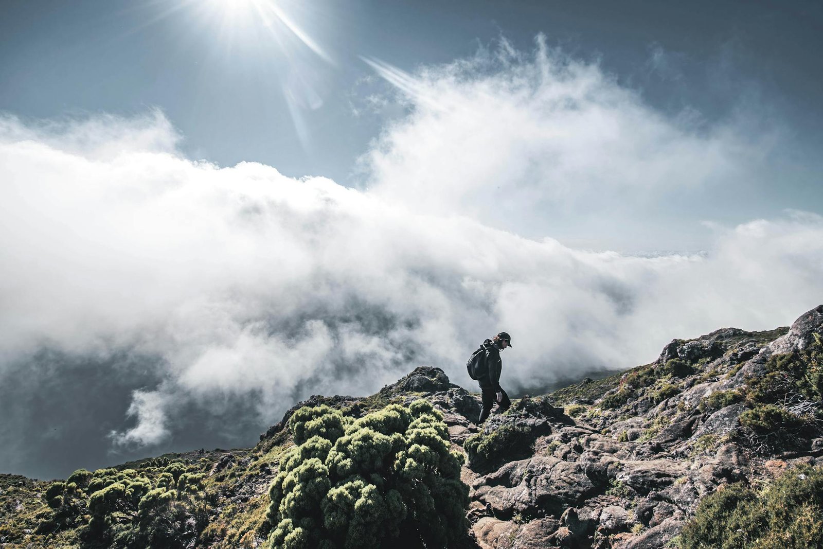 A hiker at the Usambara Mountains.