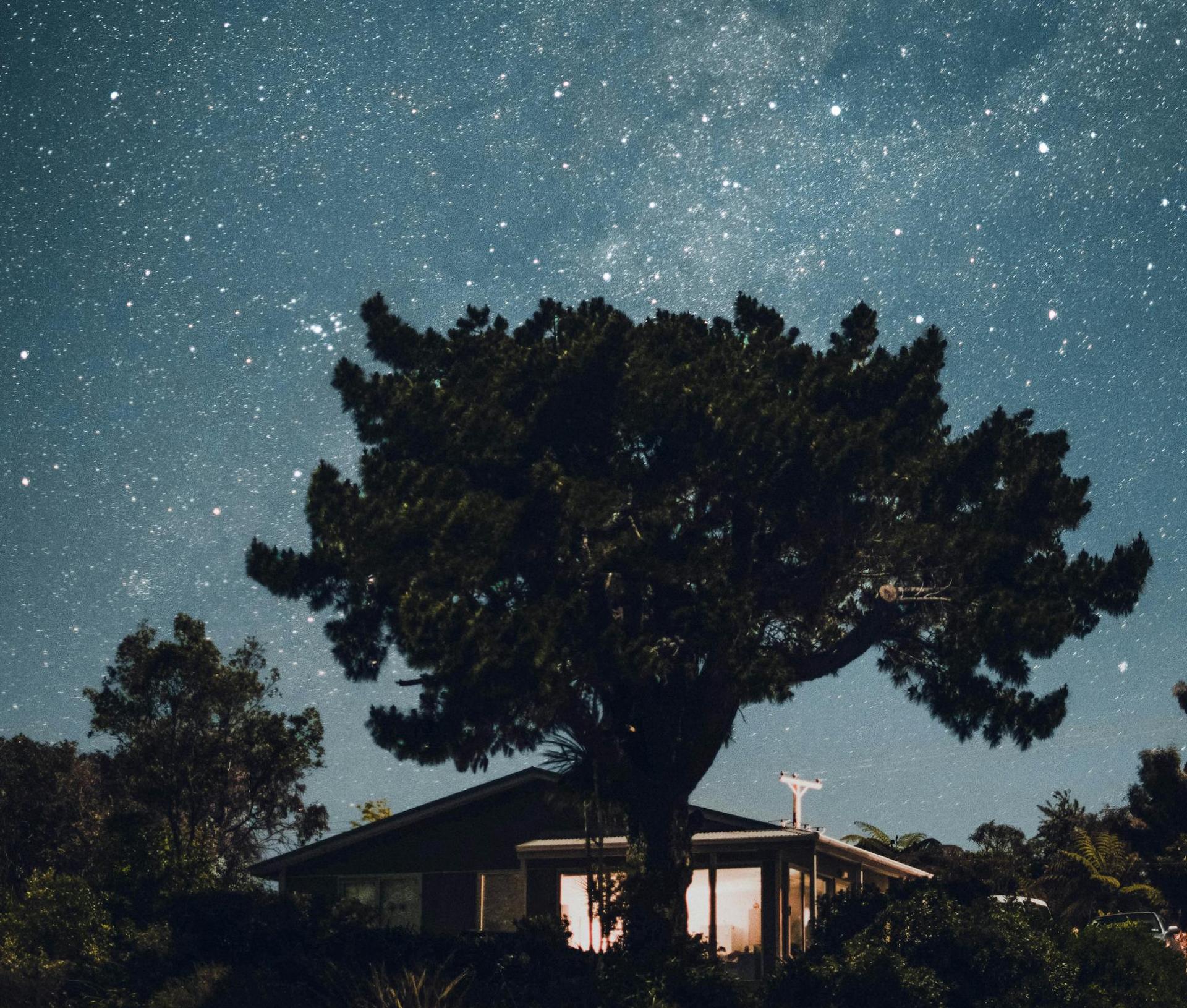 A safari camp under a starry sky.