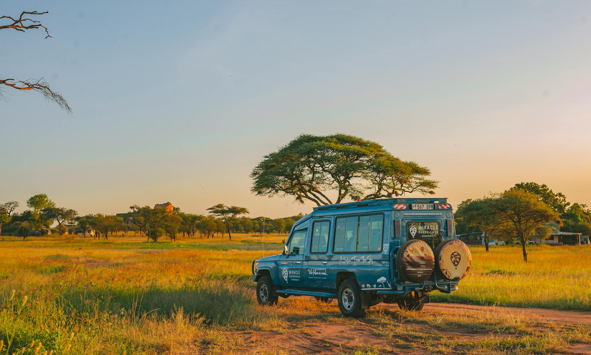 Lush green Serengeti plains.