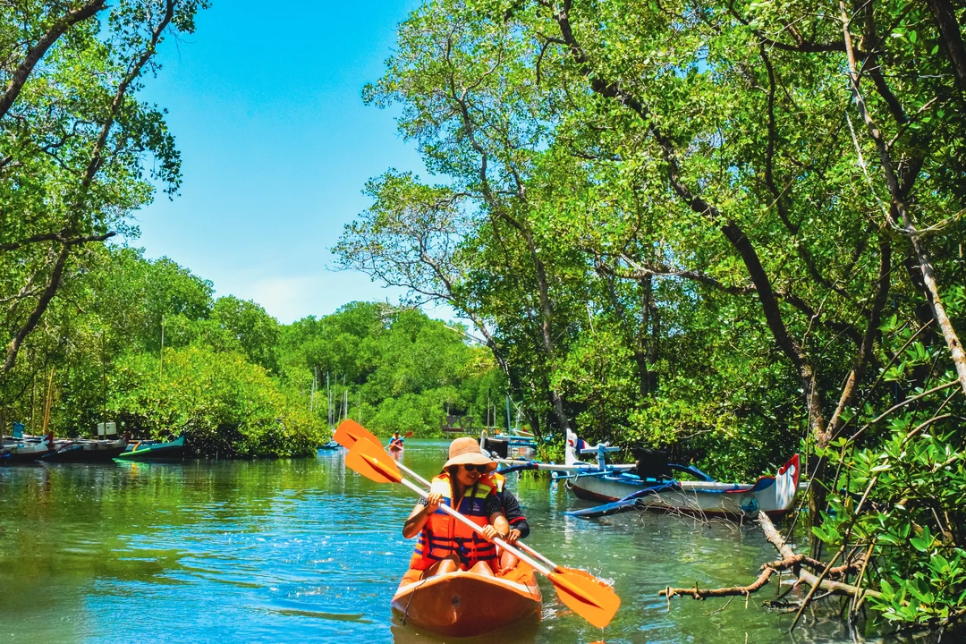Mangrove kayaking Chwaka Bay Zanzibar